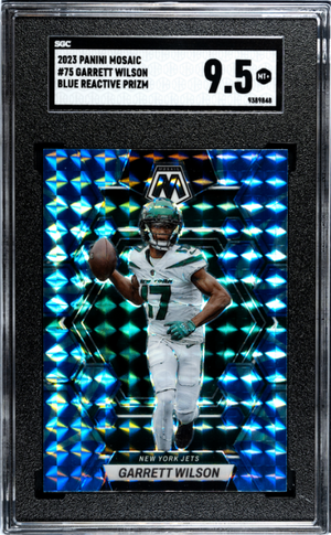 Descriptive image text